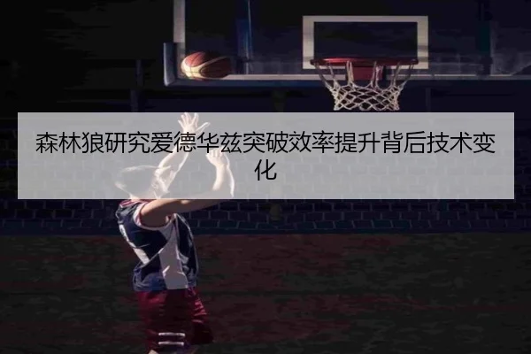 森林狼研究爱德华兹突破效率提升背后技术变化